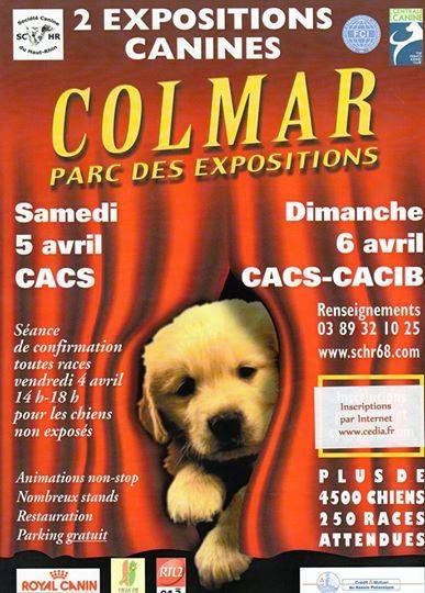 Du Domaine Du Fuchsberg - Exposition canine de Colmar, derniers délais