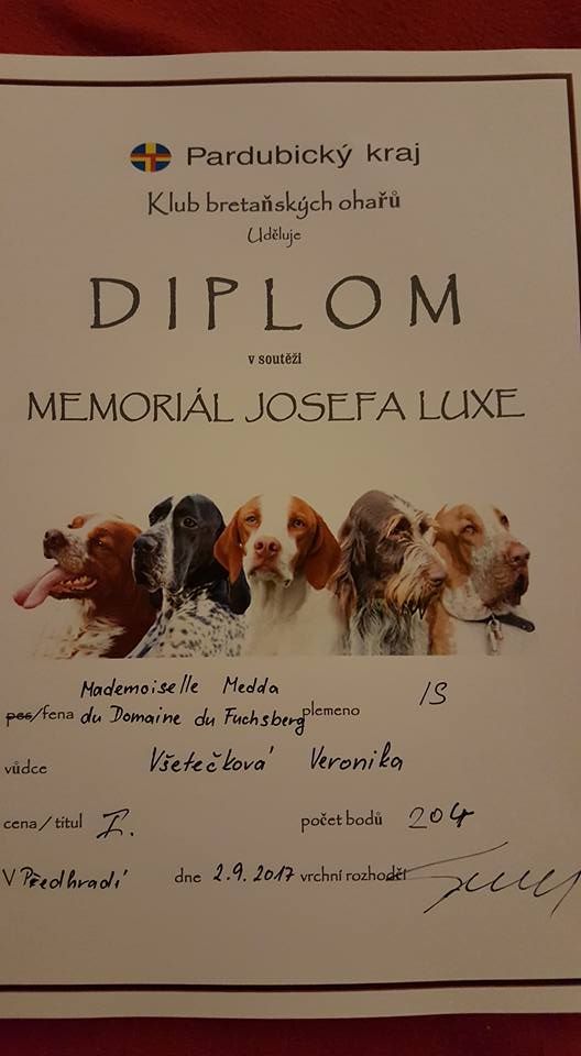 Du Domaine Du Fuchsberg - prix du mémorial Josefa Luxe en Tchéquie 