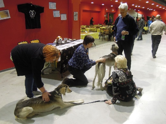 Du Domaine Du Fuchsberg - Souvenirs de l'exposition canine de Colmar
