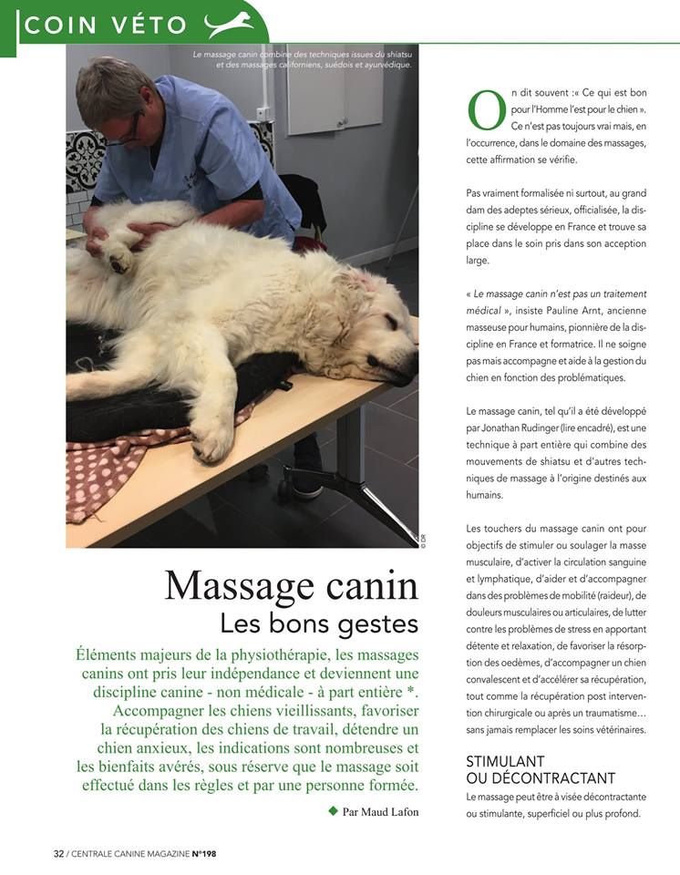 Du Domaine Du Fuchsberg - Super article sur le Massage Canin , revue SCC Page 1