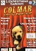  - Exposition canine de Colmar, derniers délais