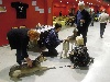  - Souvenirs de l'exposition canine de Colmar
