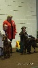  - Expo canine du Luxembourg
