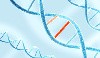 - Les nouvelles mutations testées dans le pack génomique de la SCC