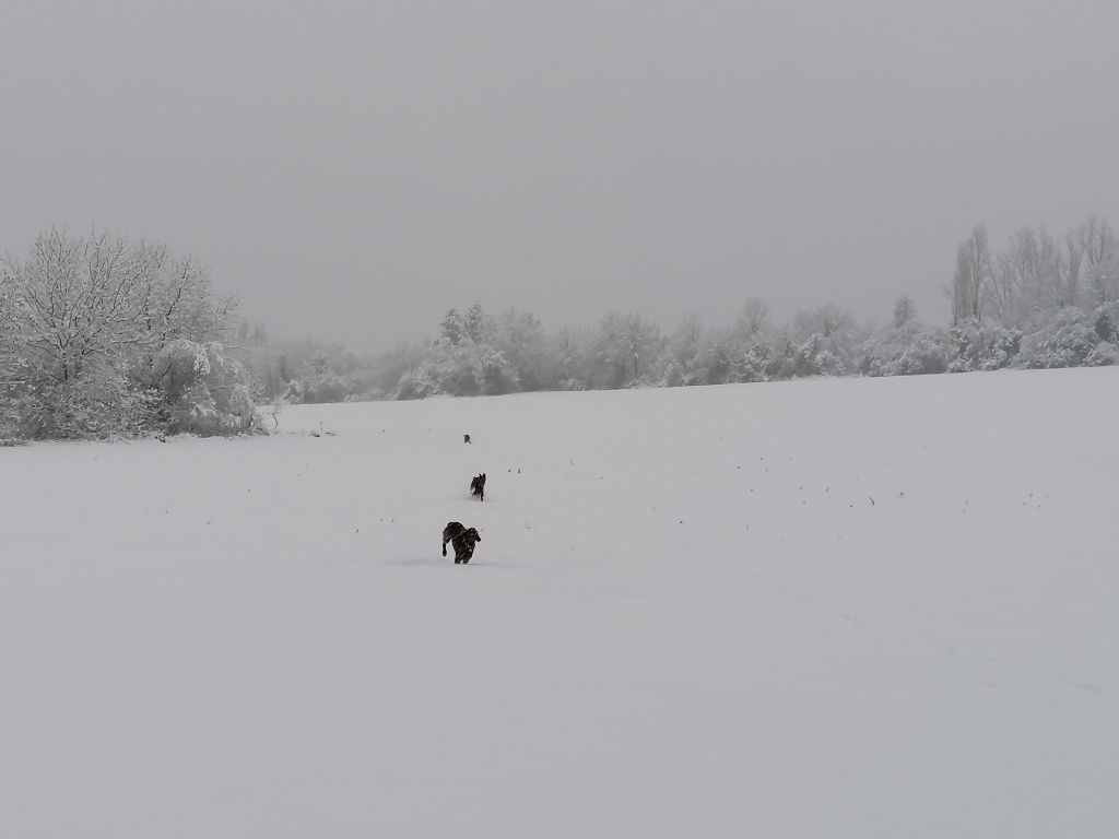 Du Domaine Du Fuchsberg - 20 cm de neige
