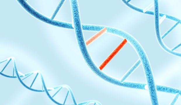 Du Domaine Du Fuchsberg - Les nouvelles mutations testées dans le pack génomique de la SCC