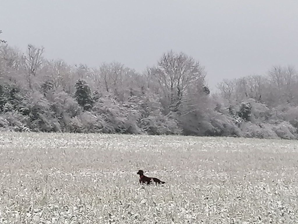 Du Domaine Du Fuchsberg - Notre secrétaire est un peu débordée