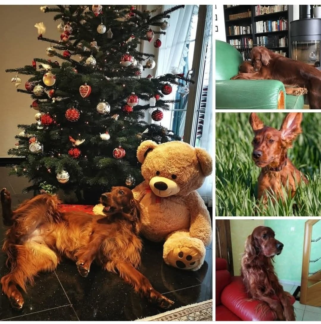 Joyeux anniversaire à la portée H