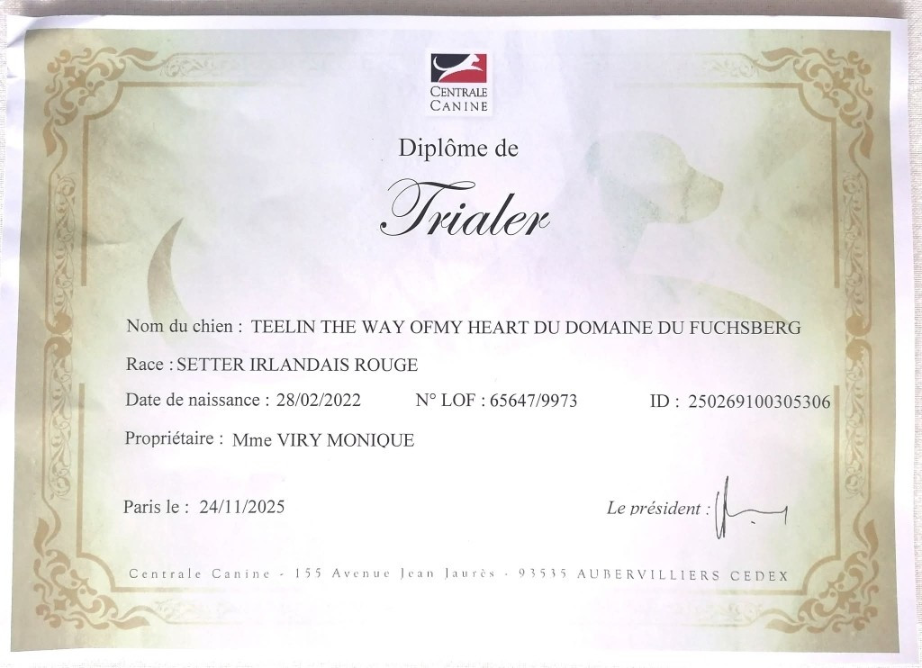 Teelin devient TRIALER SUR GIBIER D'AUTOMNE !