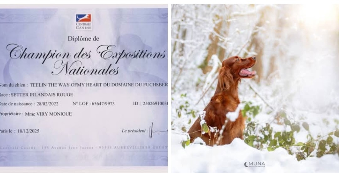 Une nouvelle CHAMPIONNE dans notre famille canine !