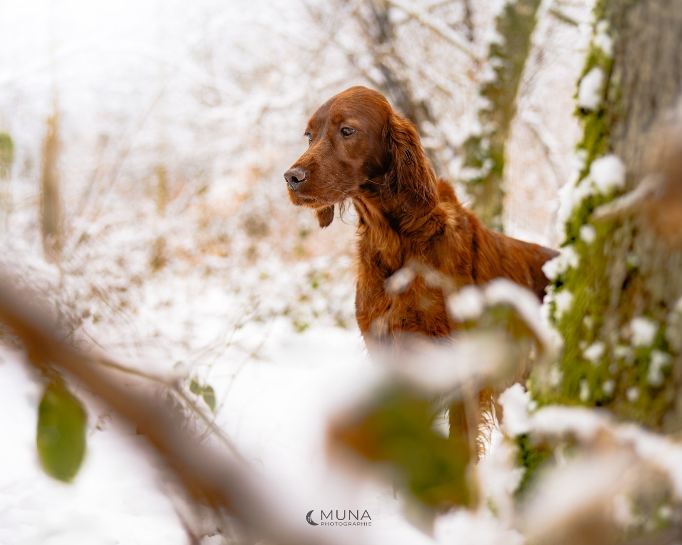 28 février 2026 : les Talentueux Baby's fêtent leur 4éme anniversaire