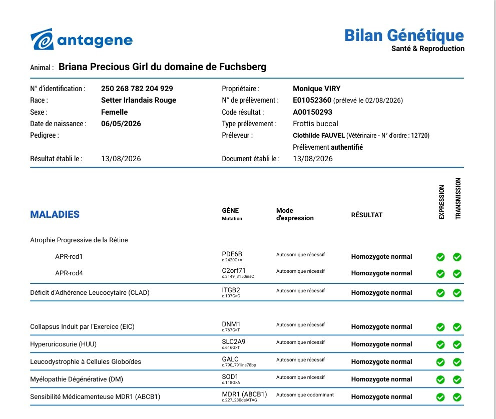 Bilan génétique de BRIANA