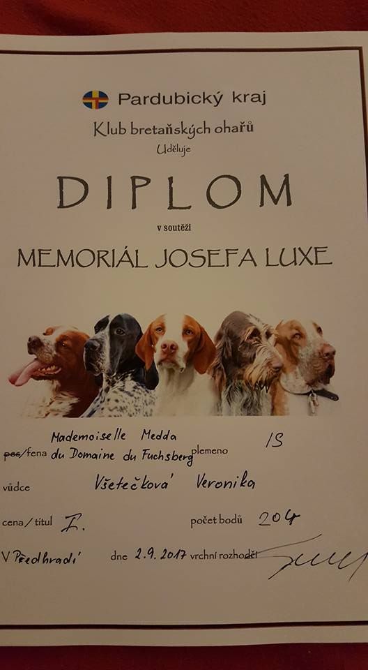 Du Domaine Du Fuchsberg - prix du mémorial Josefa Luxe en Tchéquie